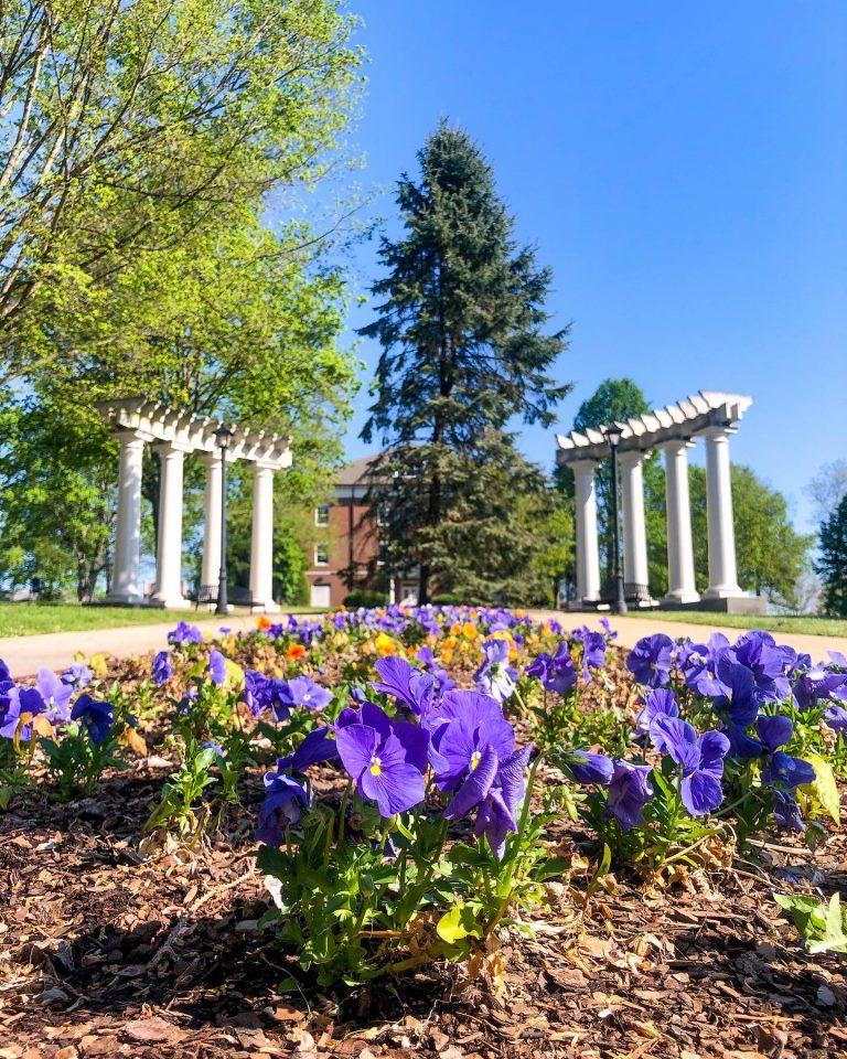 Carson Newman University plans six years of improvements on campus