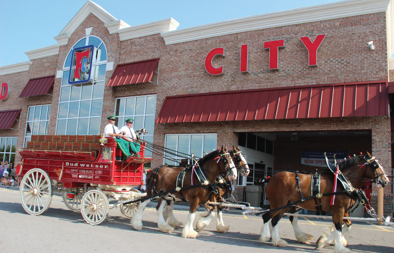 St Louis, USA. 30th April, 2022. The Budweiser Clydesdales trot