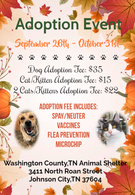 Johnson City Animal Shelter at full capacity, urgently needs adoptions - SuperTalk 92.9