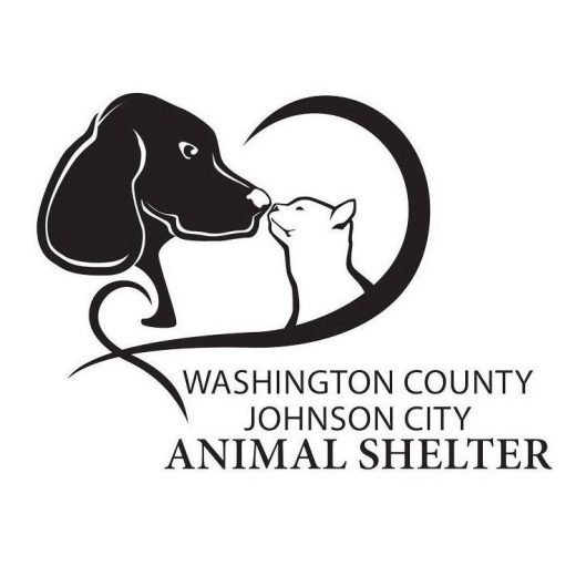 Johnson City Animal Shelter received 73 animals in one week; reminds ...