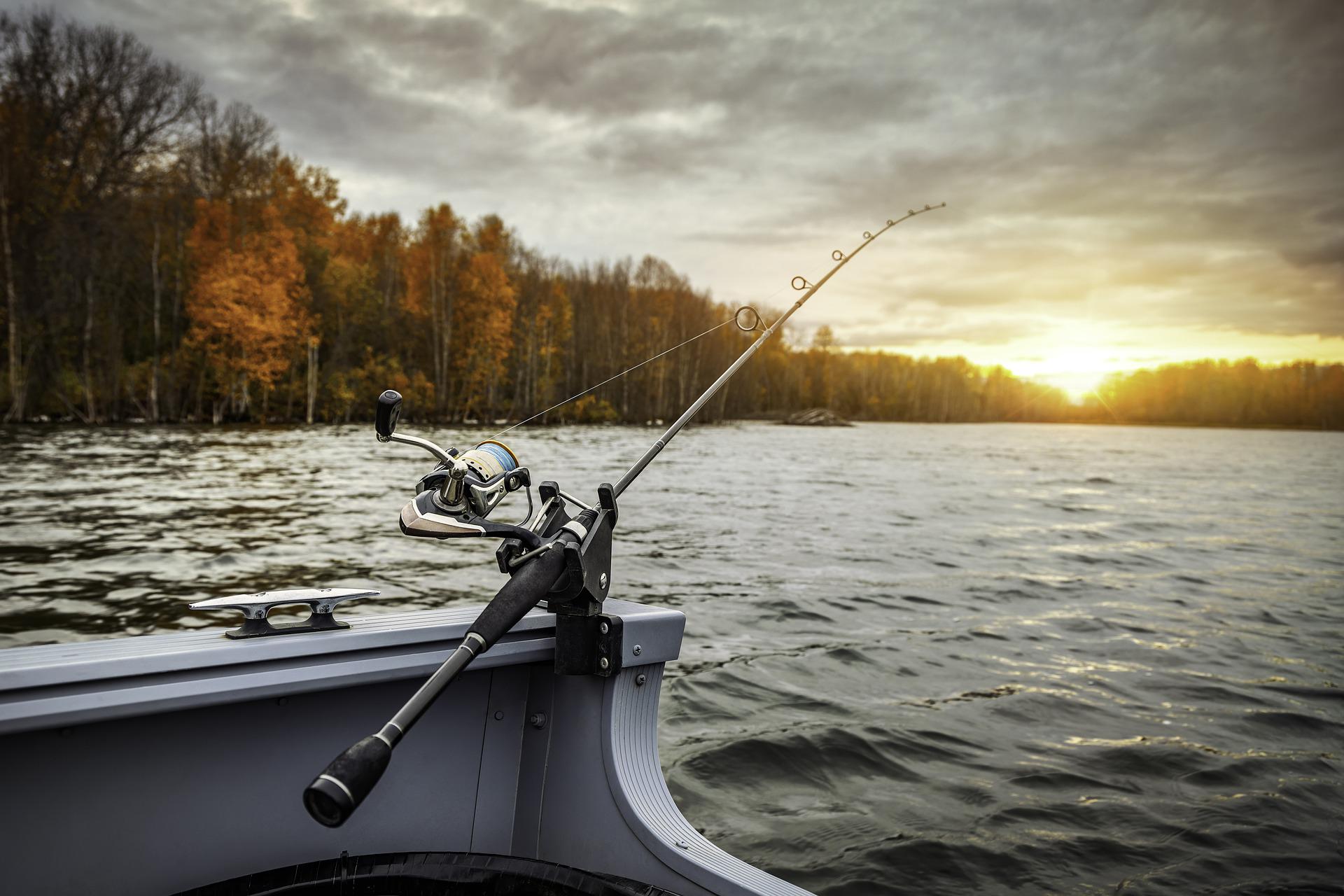 TN hunting, fishing and boating license fees to increase in 2025